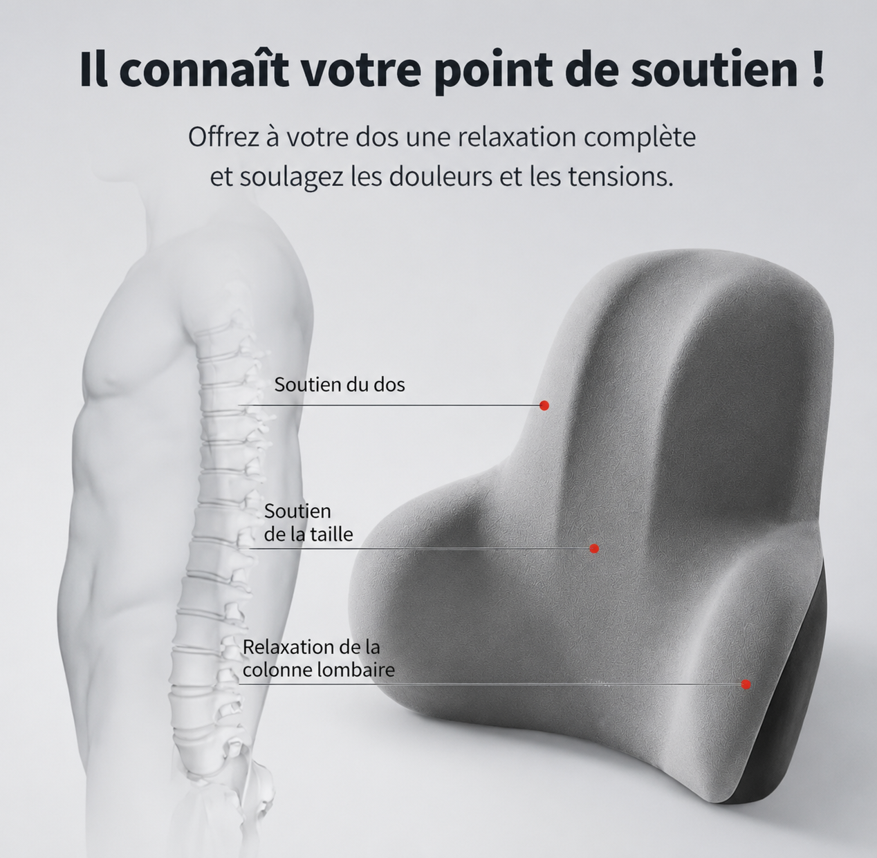 Coussin Lombaire - Ergonomique